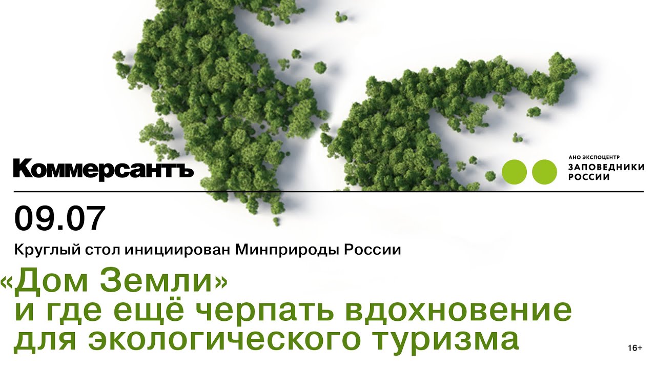 превью