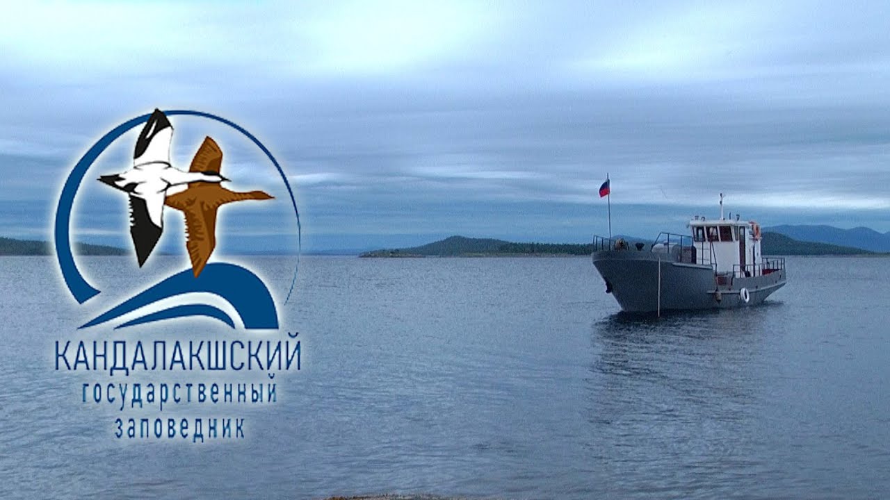 Кандалакшский морской природный заповедник. Официальная видеопрезентация. Шорт-лист «Арктика» 2022.